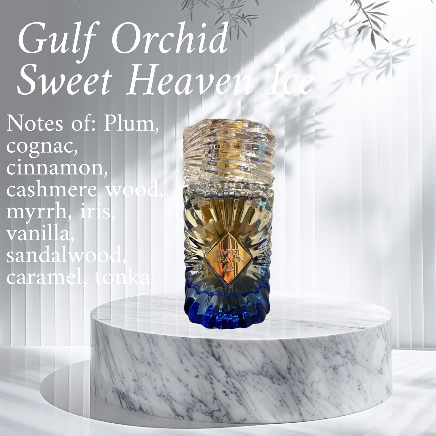 Gulf Orchid Sweet Heaven Ice